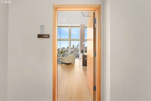 corridor featuring floor to ceiling windows and light hardwood / wood-style floors