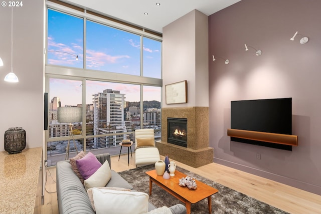 living room with a fireplace, expansive windows, a healthy amount of sunlight, and hardwood / wood-style flooring