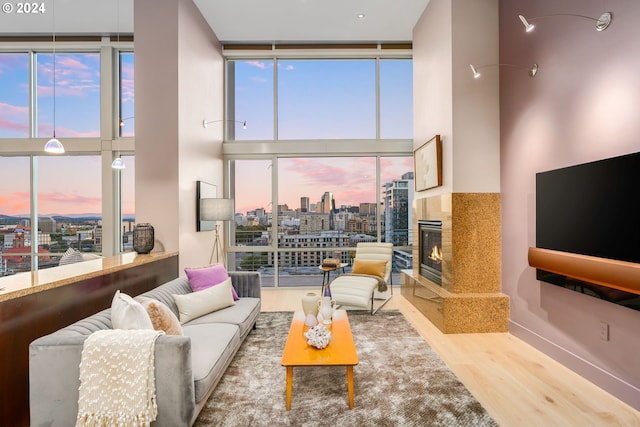 living room with a fireplace, hardwood / wood-style floors, and plenty of natural light