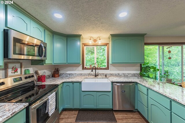 kitchen with plenty of natural light, sink, hardwood / wood-style flooring, and stainless steel appliances