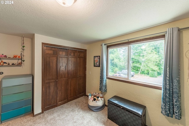 interior space featuring light colored carpet and a textured ceiling