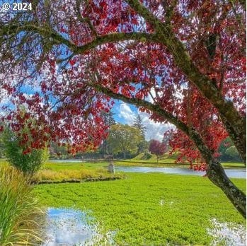 view of yard featuring a water view