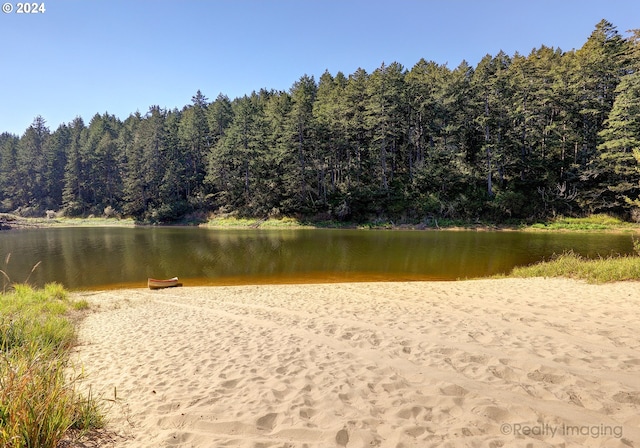 property view of water