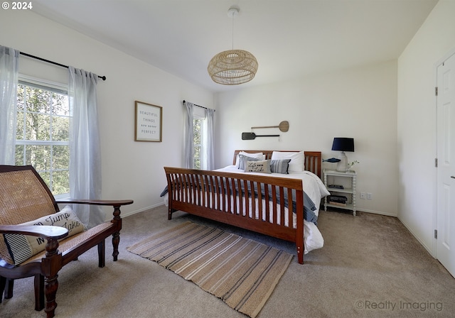 bedroom featuring carpet floors, baseboards, and multiple windows