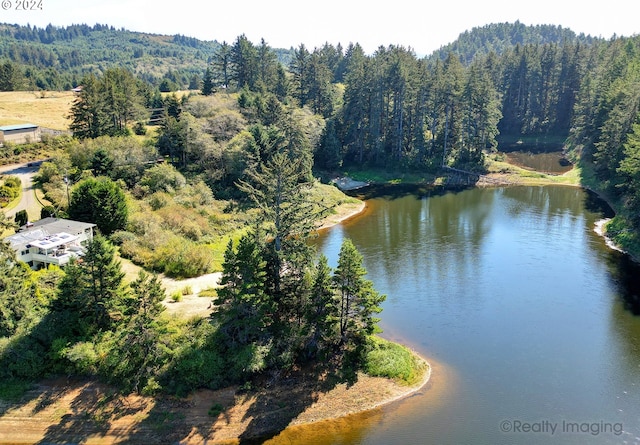 property view of water with a wooded view