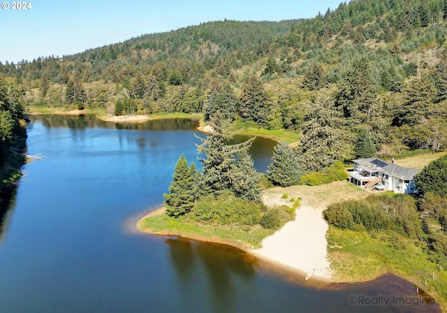 bird's eye view with a wooded view and a water view