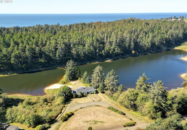 drone / aerial view featuring a wooded view and a water view