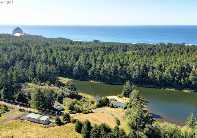 drone / aerial view featuring a wooded view and a water view