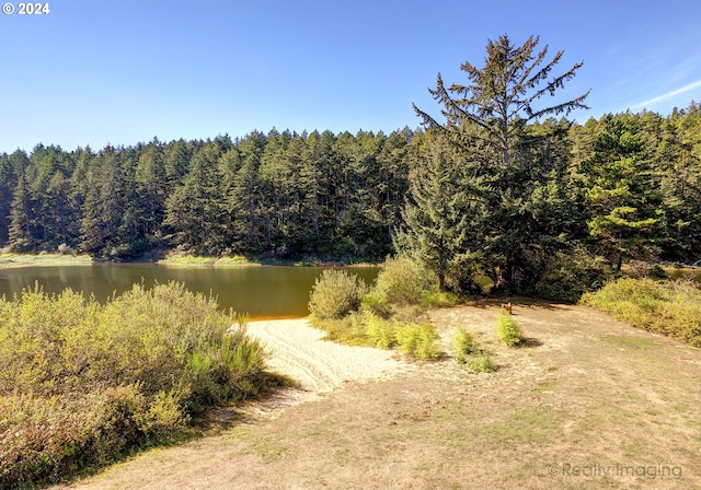 view of water feature featuring a forest view