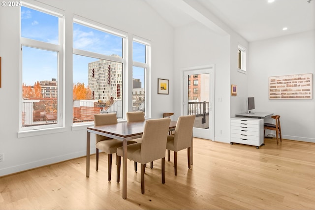 dining room featuring a wealth of natural light and light hardwood / wood-style floors