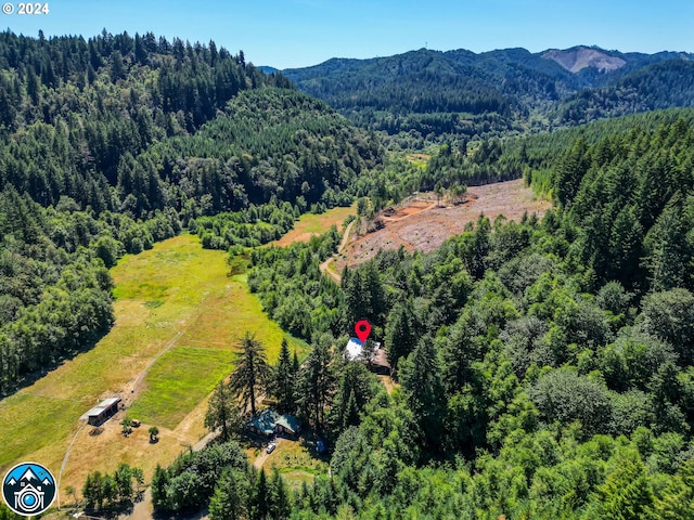 bird's eye view featuring a mountain view