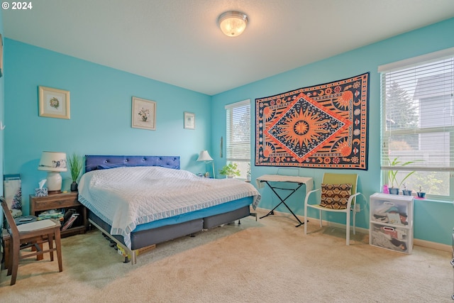 carpeted bedroom with multiple windows