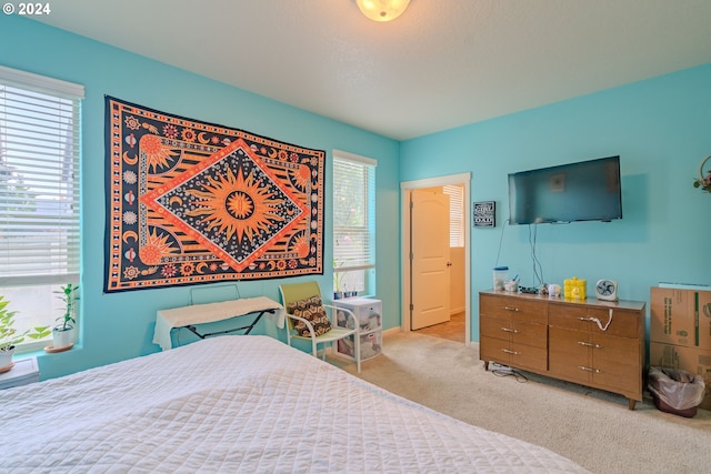 bedroom with light colored carpet