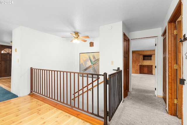 corridor featuring hardwood / wood-style floors, wooden walls, and a textured ceiling