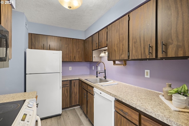 kitchen with sink, light wood-type flooring, white appliances, and a textured ceiling