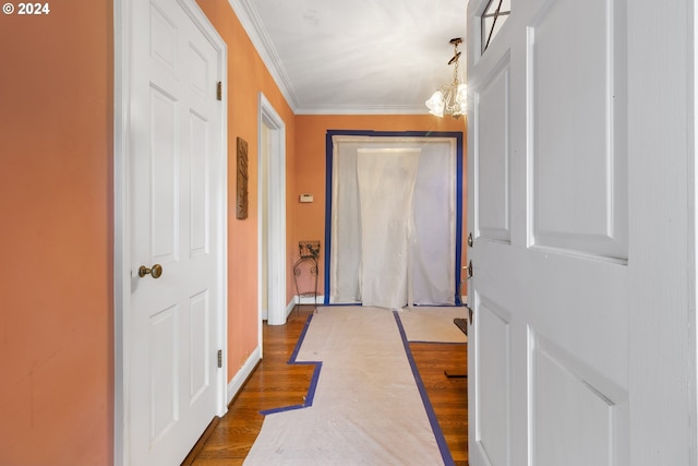 interior space with wood finished floors, baseboards, and ornamental molding