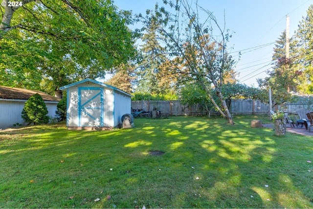 view of yard featuring a storage unit