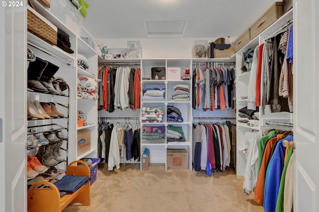 walk in closet with light colored carpet