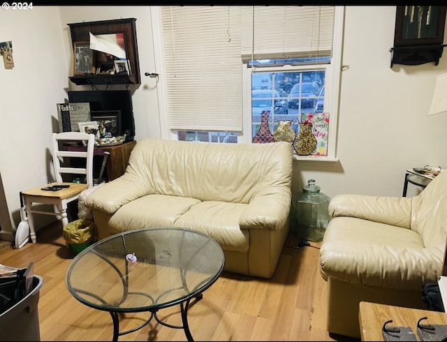 living room featuring light wood-type flooring