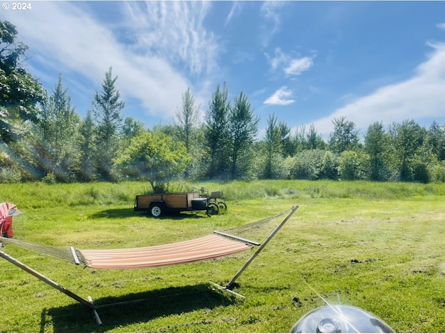 view of property's community featuring a yard