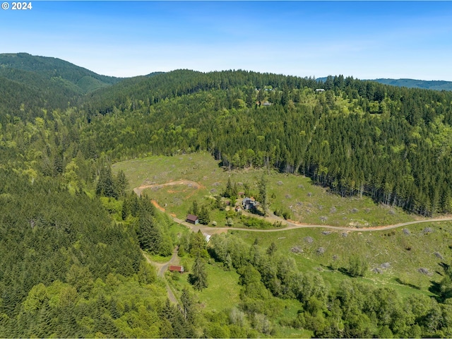 drone / aerial view with a mountain view