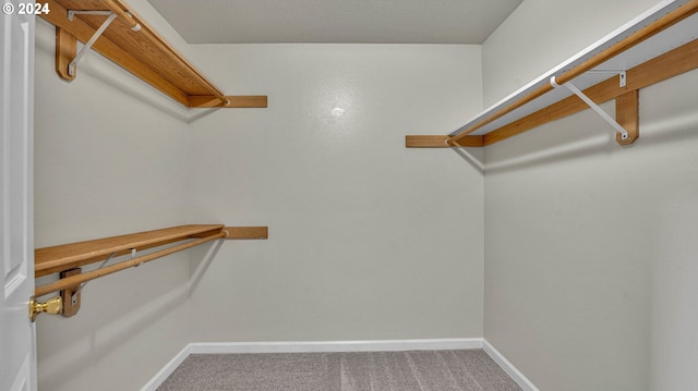 walk in closet featuring carpet