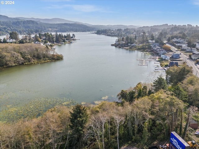 water view featuring a mountain view