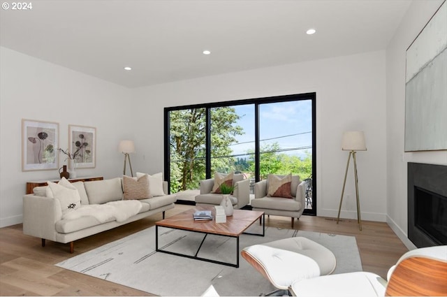 living room featuring light wood-type flooring