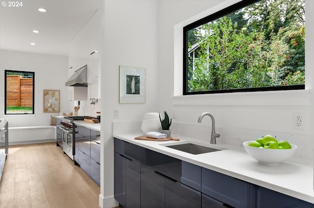 kitchen with light wood-type flooring, blue cabinets, sink, and range with two ovens