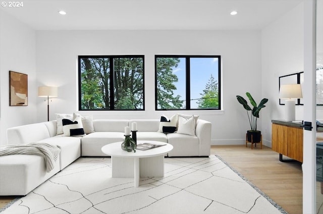 living room with light hardwood / wood-style floors