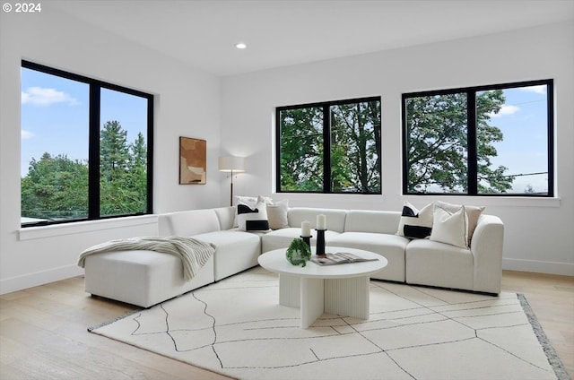 living room featuring light hardwood / wood-style flooring and a healthy amount of sunlight