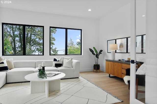 living room with light hardwood / wood-style floors