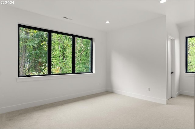 unfurnished room with light carpet and a wealth of natural light