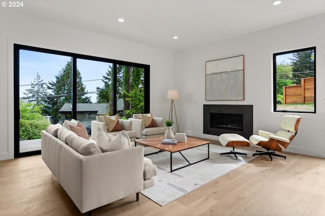 living room with light hardwood / wood-style flooring