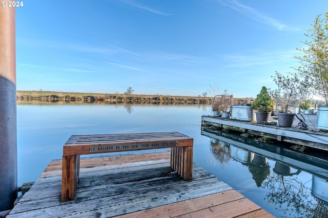 dock area with a water view