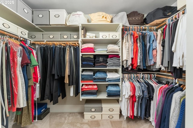 spacious closet featuring carpet flooring