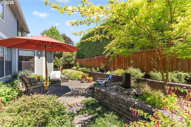 view of yard with a patio area and fence