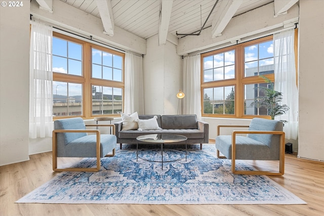 living room featuring wood-type flooring, a healthy amount of sunlight, and beam ceiling