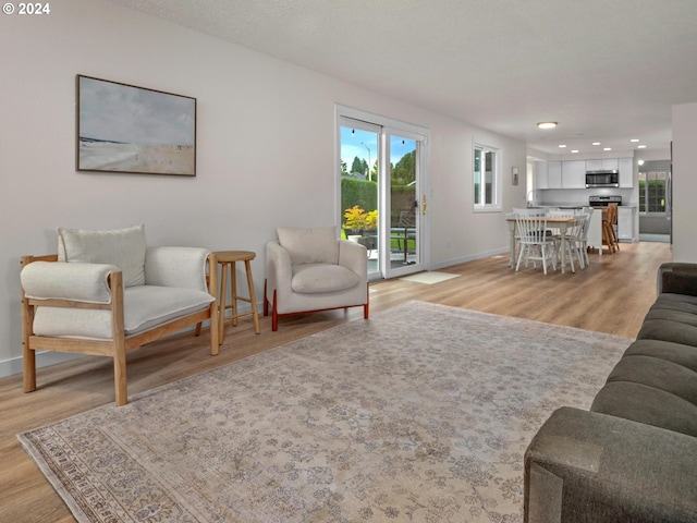 living room featuring light wood-type flooring