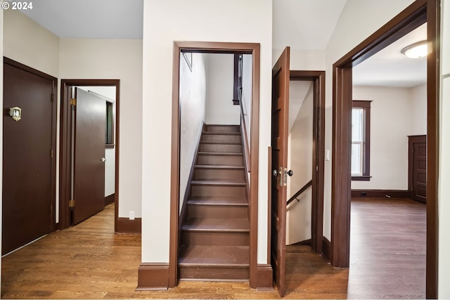 stairs with wood-type flooring