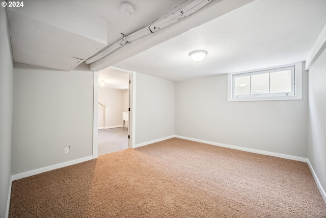 basement featuring carpet