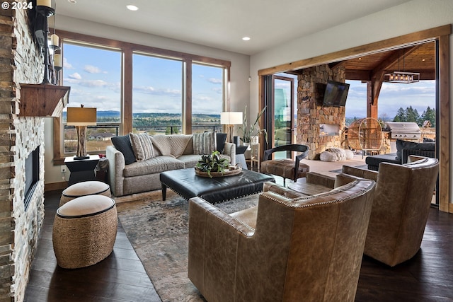 living room with dark hardwood / wood-style flooring and a stone fireplace