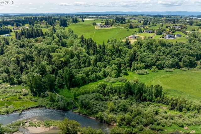 birds eye view of property featuring a water view and a wooded view