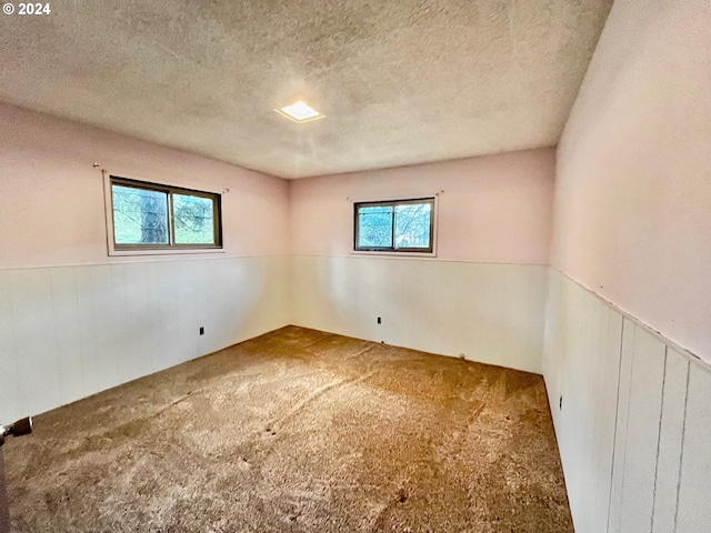 carpeted spare room featuring wood walls and a textured ceiling