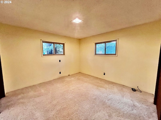 carpeted spare room with a textured ceiling and a healthy amount of sunlight