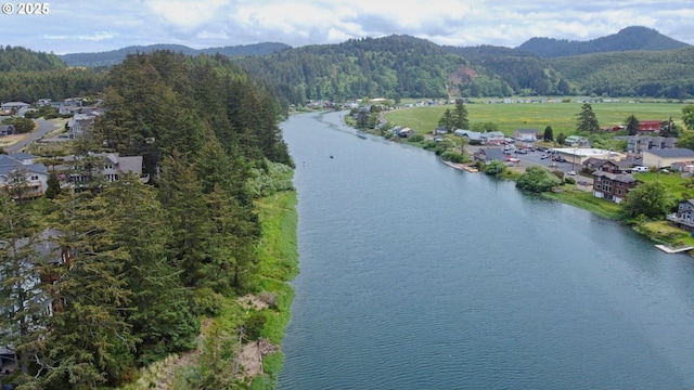 34540 Nestucca Blvd, Cloverdale, OR 97112 - aerial view of a water and mountain view and a heavily wooded area