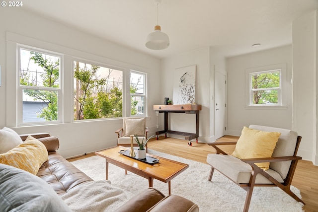 living room featuring plenty of natural light and light hardwood / wood-style flooring