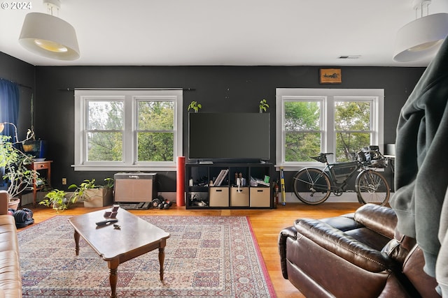 living room with hardwood / wood-style flooring