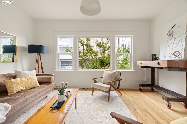 living room featuring plenty of natural light and light hardwood / wood-style floors