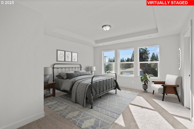 carpeted bedroom featuring a raised ceiling